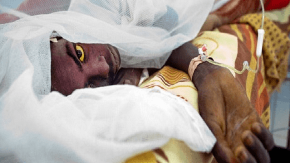 Igbozuruoke Forum | Yellow fever kills 115 in Katsina